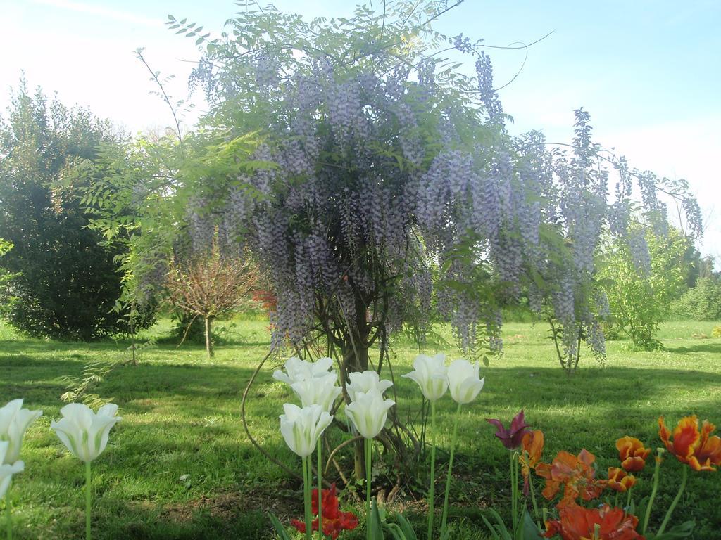 Отель Domaine Mongiron Nerigean Экстерьер фото