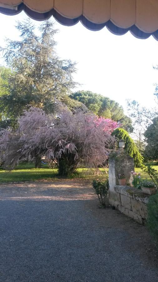 Отель Domaine Mongiron Nerigean Экстерьер фото