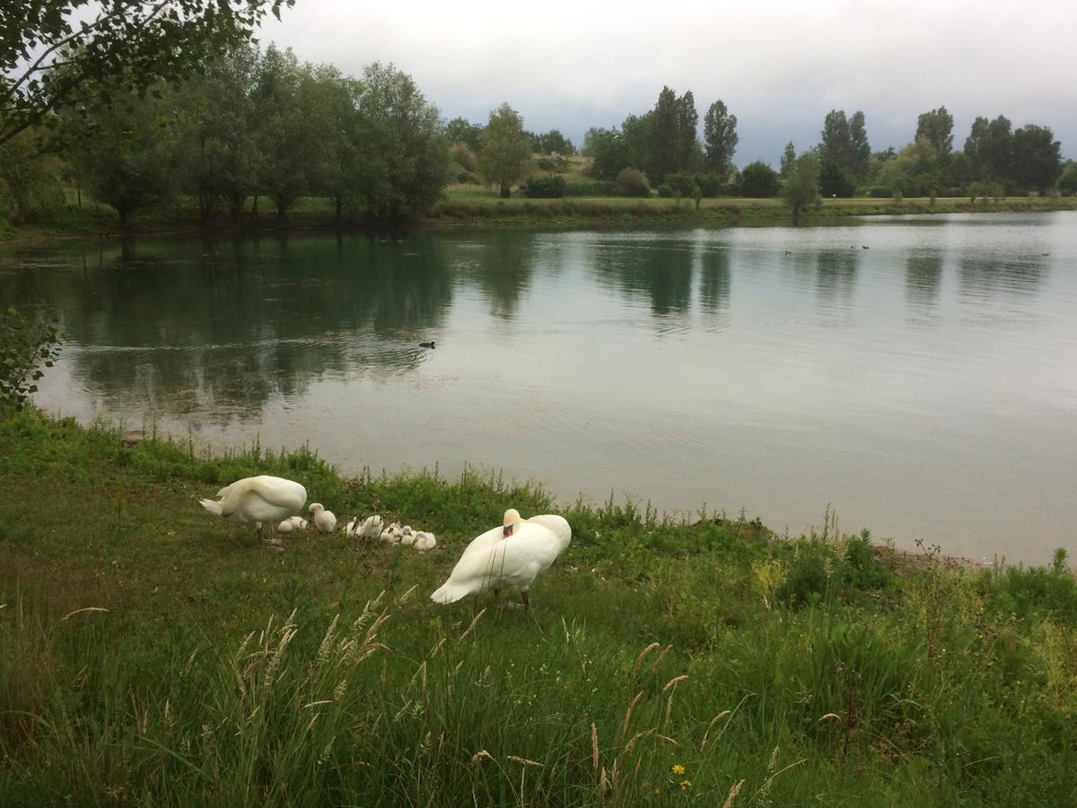 Отель Domaine Mongiron Nerigean Экстерьер фото